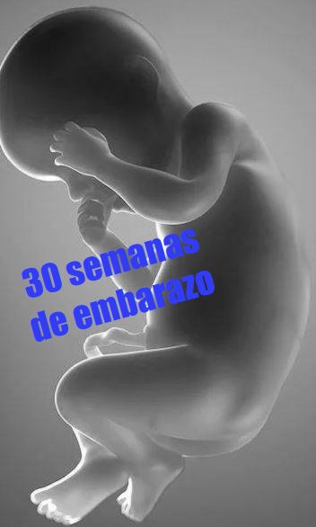 30 semanas gestacion