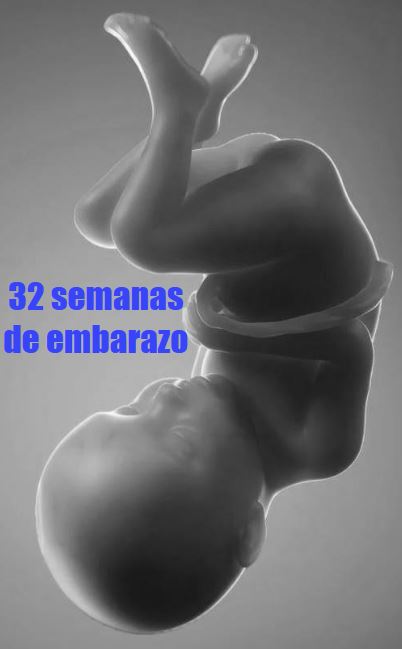 32 semanas gestacion