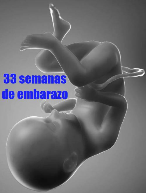 33 semanas gestacion