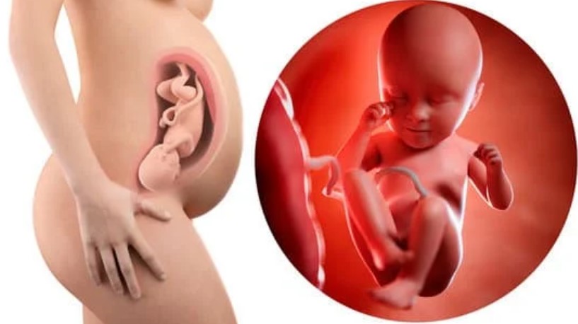 35 semanas de embarazo: Síntomas y desarrollo del bebé