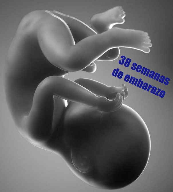 38 semanas gestacion