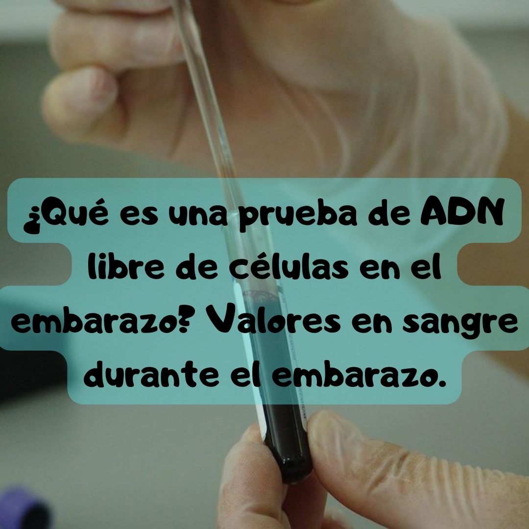 ¿Qué es una prueba de ADN libre de células en el embarazo? análisis de sangre