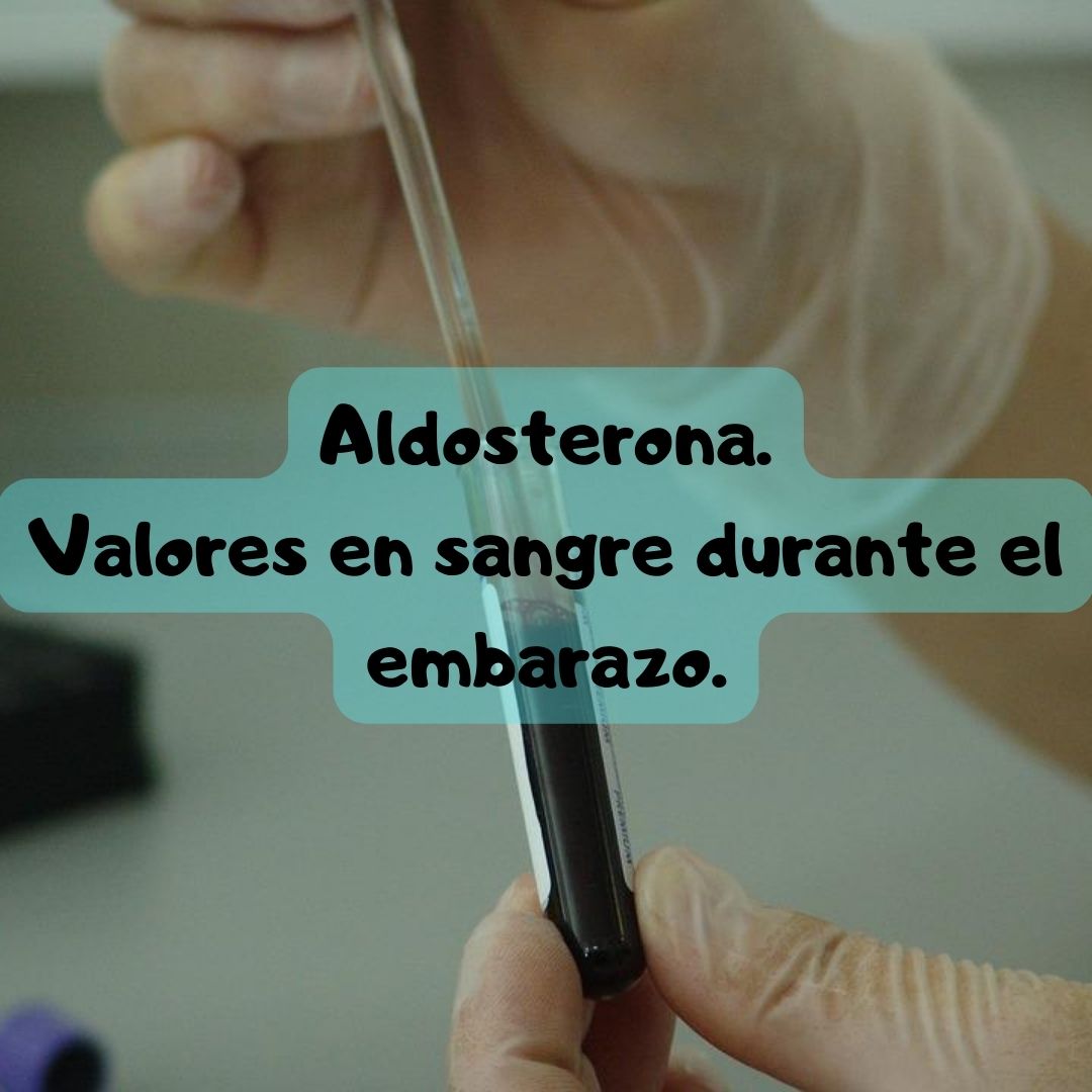 ¿Qué pasa si tengo la Aldosterona alta? Aldosterona durante el embarazo, análisis de sangre