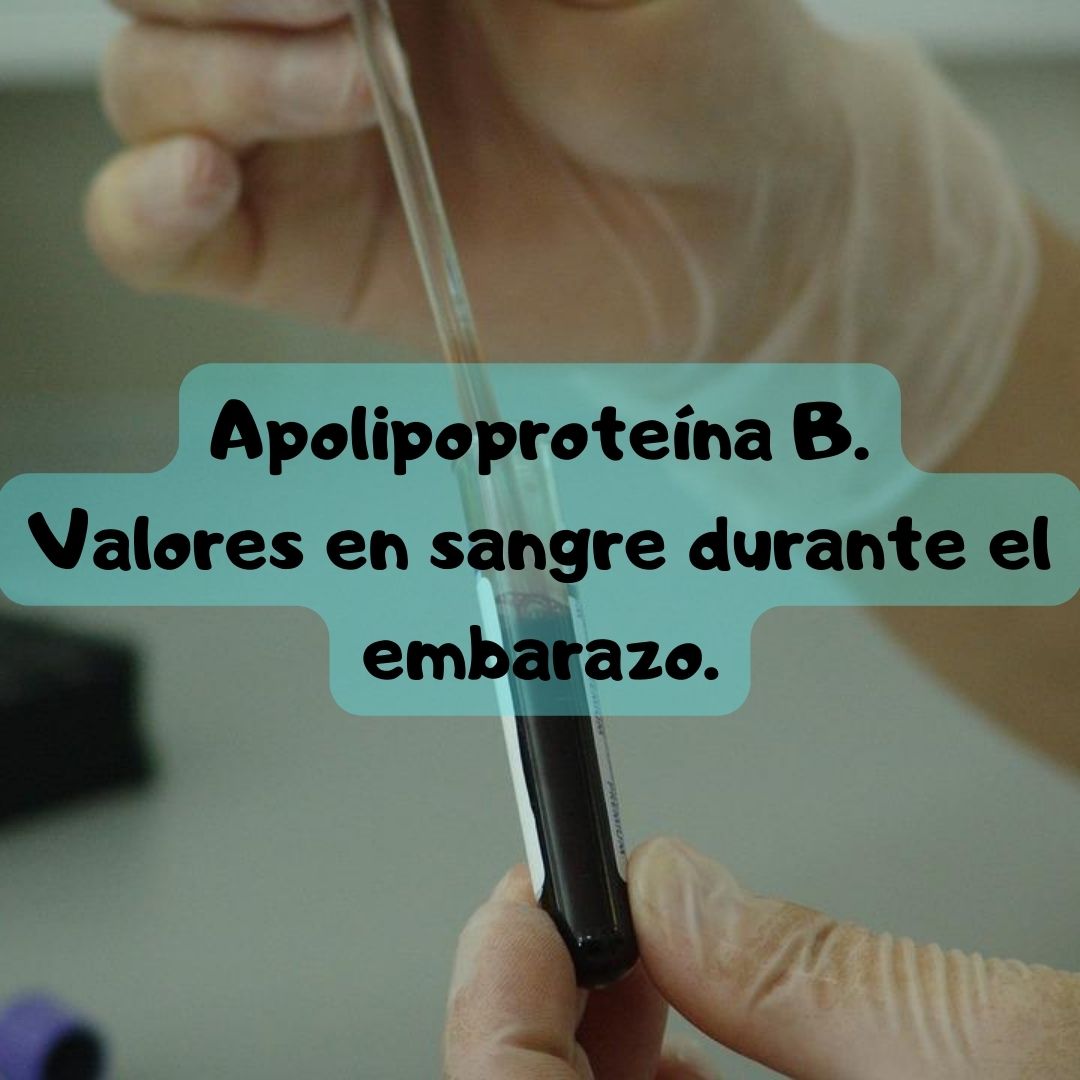 ¿Qué pasa si tengo la Apolipoproteína B alta o baja? Apolipoproteína B durante el embarazo, análisis de sangre