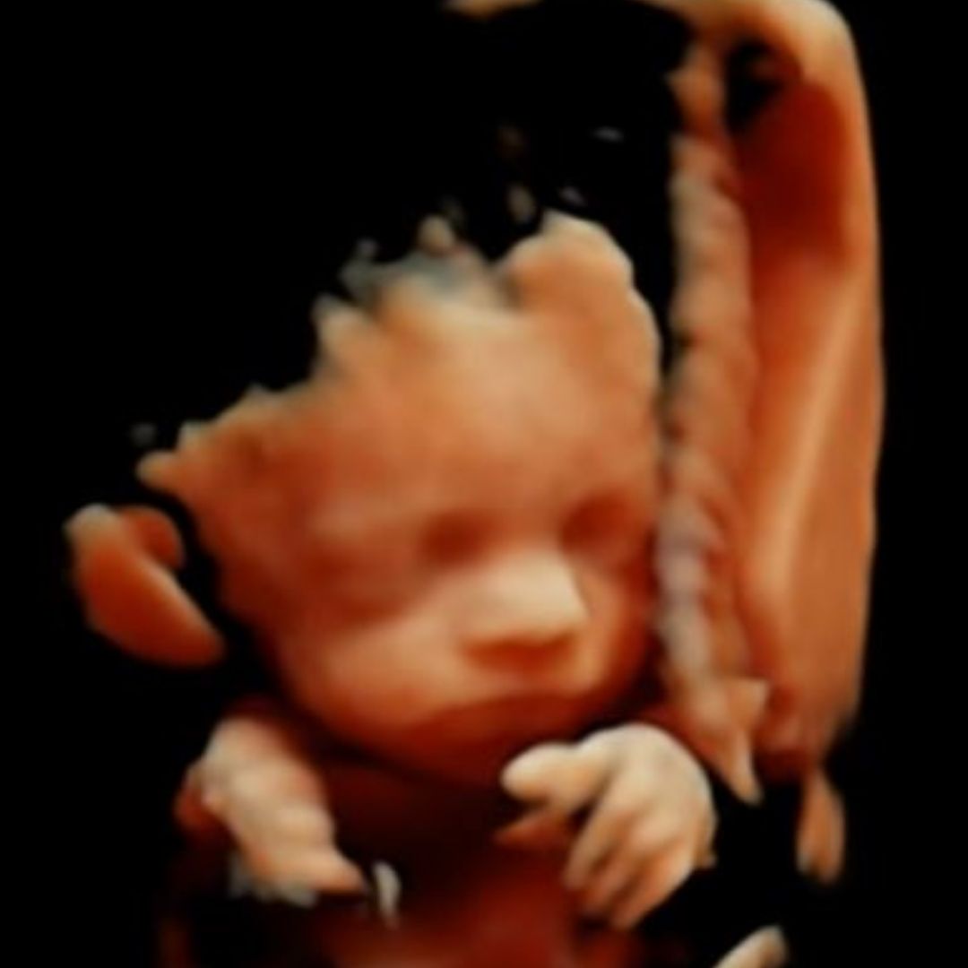 feto 25 semanas, El niño comienza a aprender el lenguaje en el vientre materno