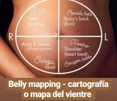 belly mapping