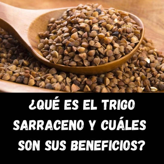 Propiedades del trigo sarraceno