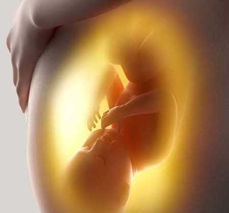 Cómo calcular peso y medida feto