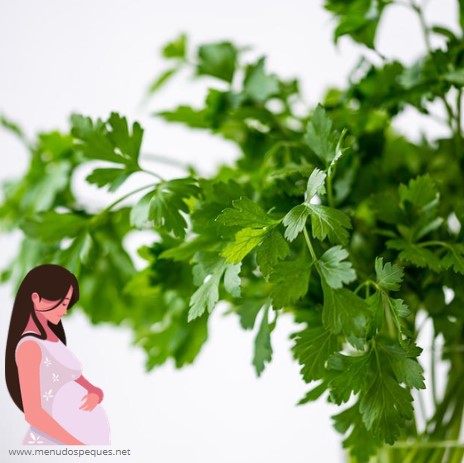 ¿Puede una mujer embarazada comer cilantro? embarazo