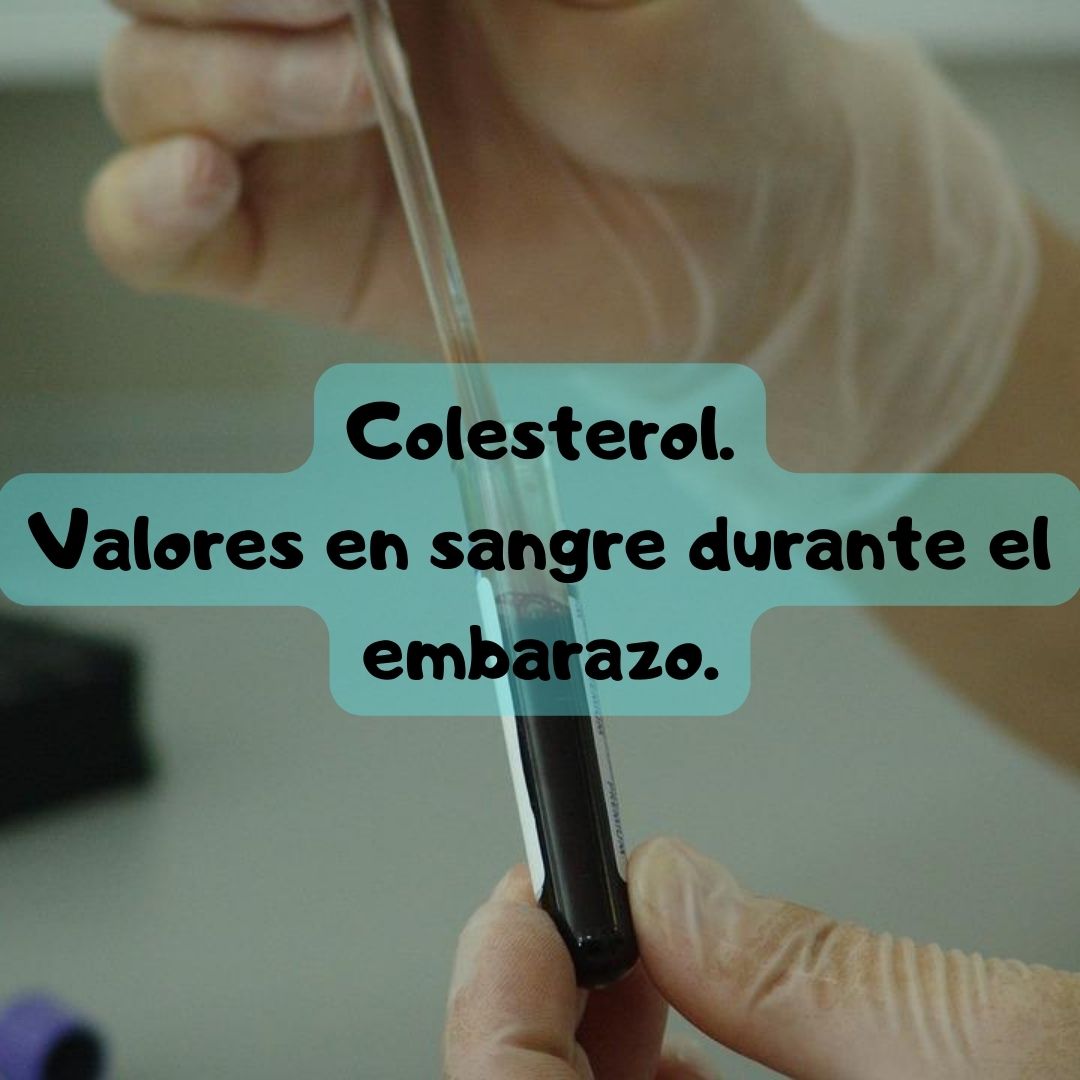 ¿Qué pasa si tengo el colesterol alto o bajo? Colesterol durante el embarazo, análisis de sangre