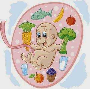 Cómo comer durante el embarazo