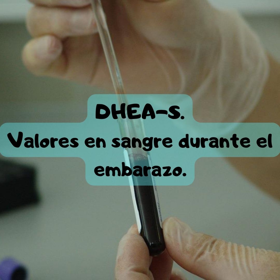 ¿Qué pasa si tengo la DHEA-S alta o baja? DHEA-S durante el embarazo, análisis de sangre