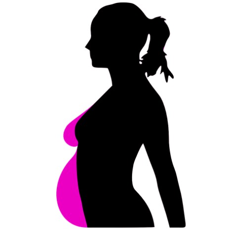 Cómo cambia el útero durante el embarazo