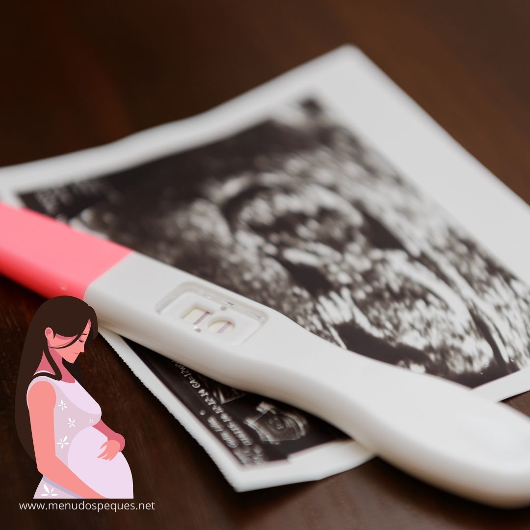 ¿Qué etapa se considera el inicio del embarazo? ¿En qué momento empieza el embarazo?