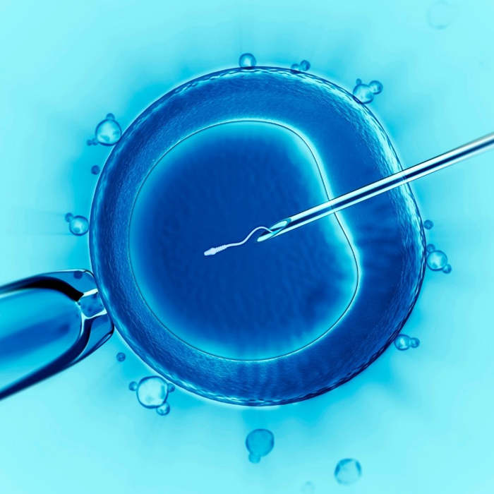 ¿Cómo es el procedimiento de una inseminación artificial?