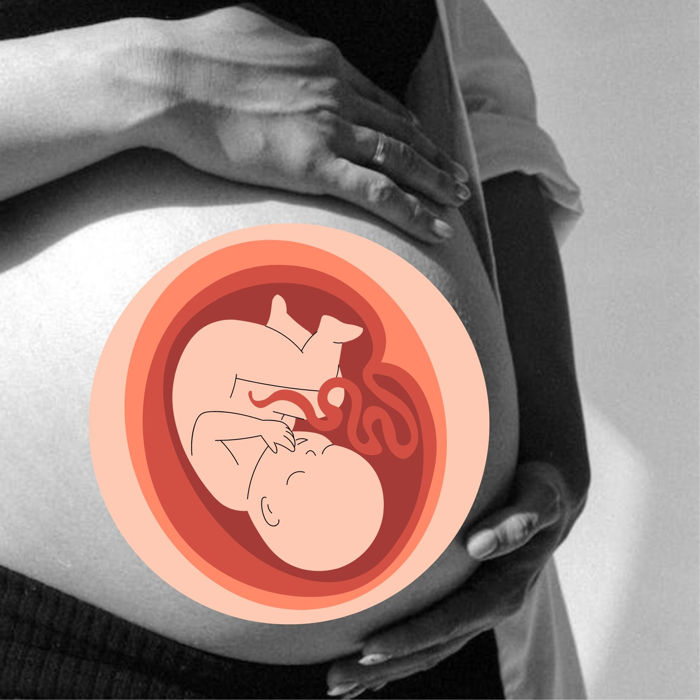 Tras los pasos del bebé: Utiliza belly-mapping para saber su ubicación en el útero
