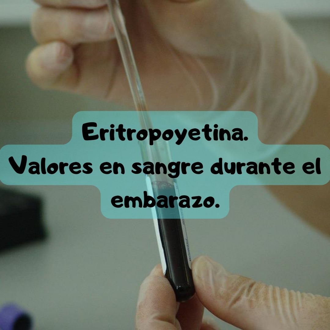 ¿Qué pasa si tengo la Eritropoyetina alta o baja? Eritropoyetina durante el embarazo, análisis de sangre