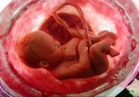 feto 30 semanas, desarrollo fetal