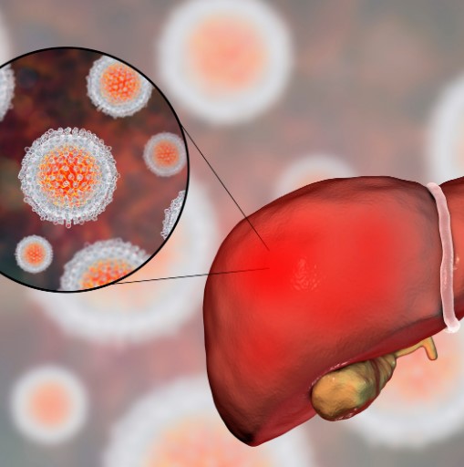 hepatitis b y c, ¿Qué pasa si una mujer embarazada tiene hepatitis?