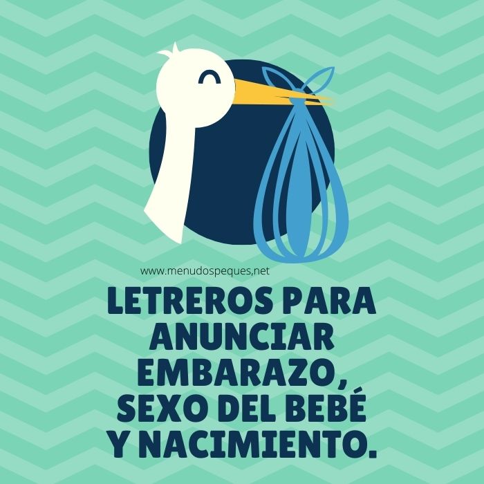 Letreros para anunciar bebé en camino, sexo del bebé y nacimiento.