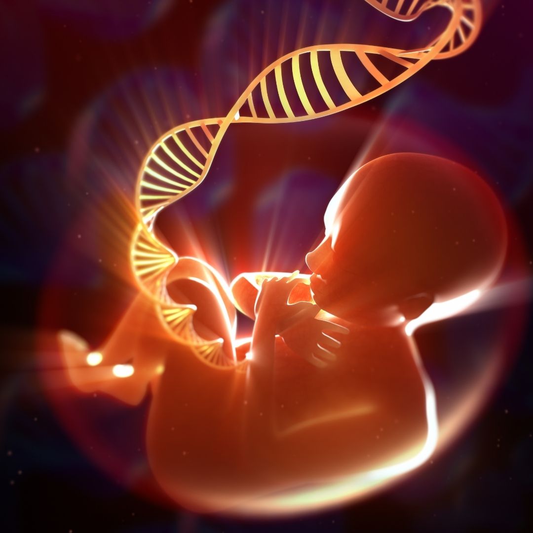 ¿Cuáles son las malformaciones congénitas más frecuentes?  ¿Cómo se puede saber si el feto tiene malformaciones?