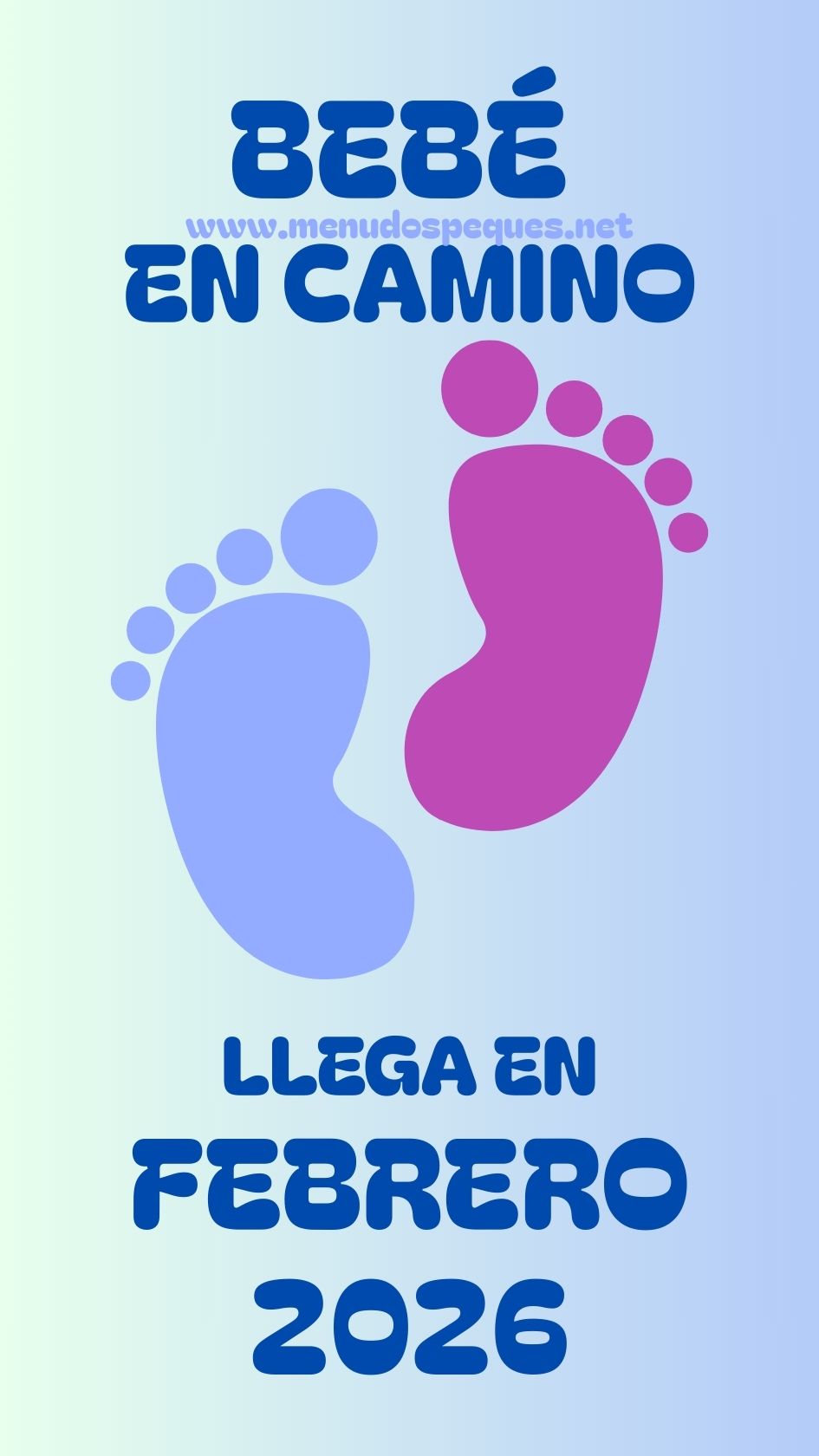 Llega bebé febrero 2026