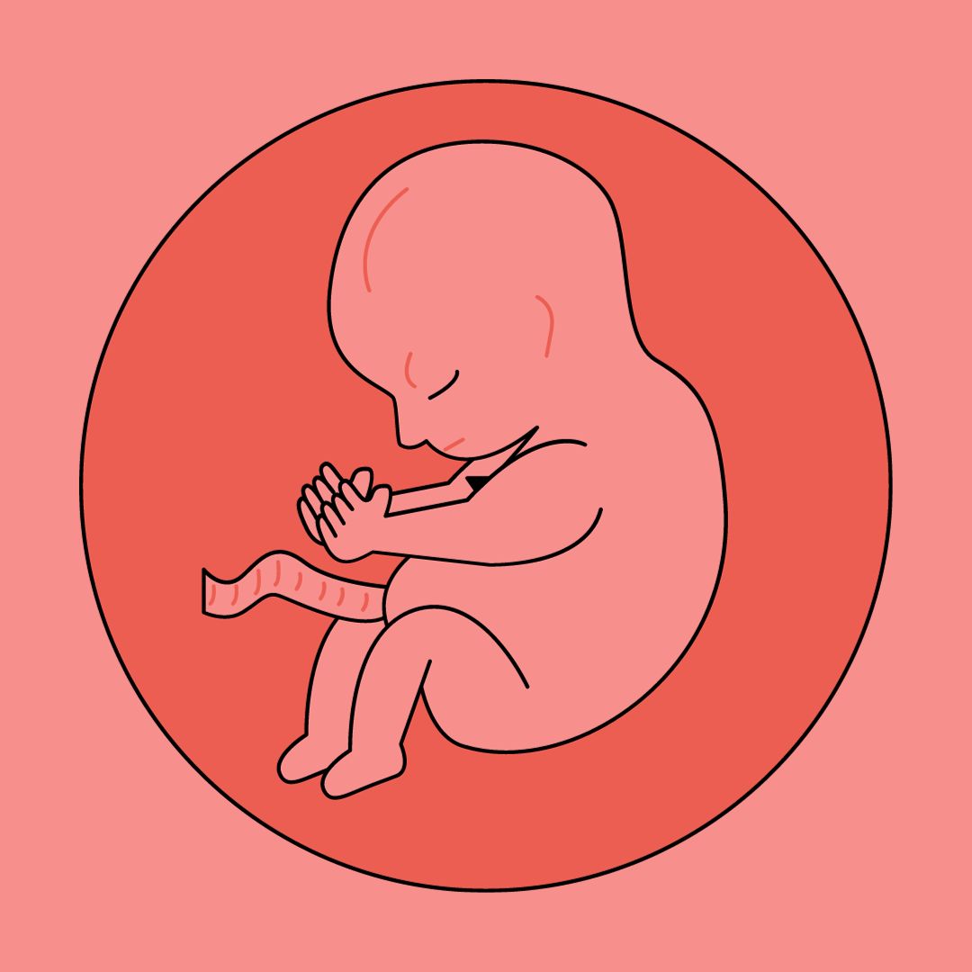 ¿Cuándo comienzan a moverse las extremidades en el útero?