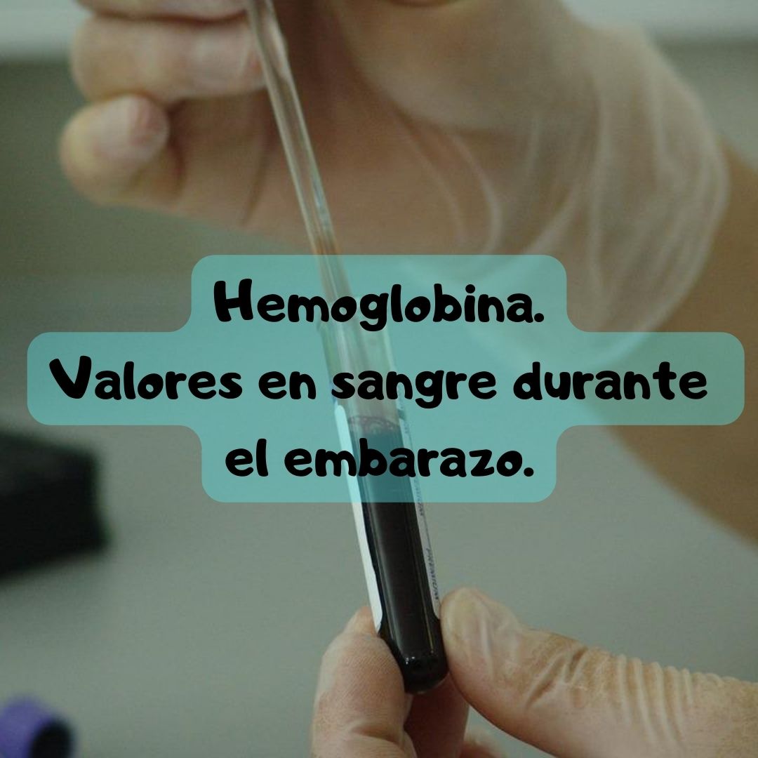 ¿Qué pasa si tengo hemoglobina alta o baja? Niveles de hemoglobina durante el embarazo, análisis de sangre