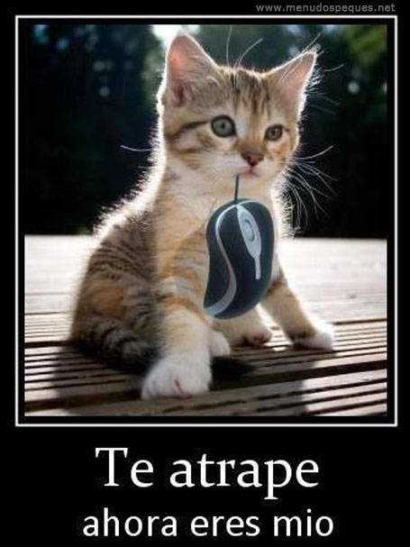 Te atrapé, ahora eres mio