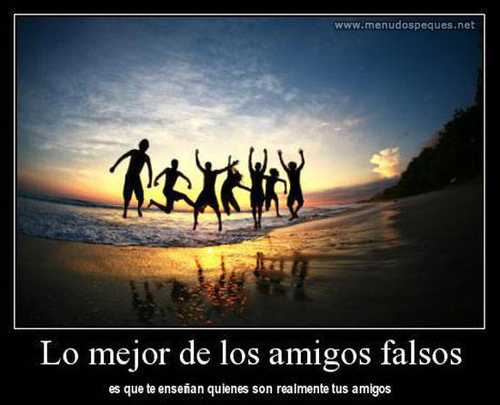 Lo mejor de los amigos falsos es que te enseñan quienes son realmente tus amigos.
