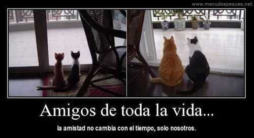 Amigos de toda la vida... la amistad no cambia con el tiempo, solo nosotros.