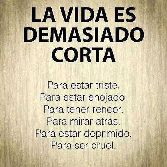 la vida es corta