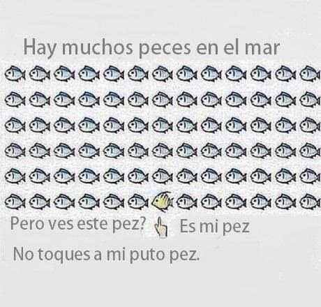 no toques mi pez