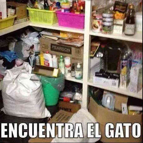 Encuentra al gato en esta imagen.