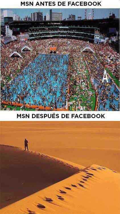 msn despues de facebook