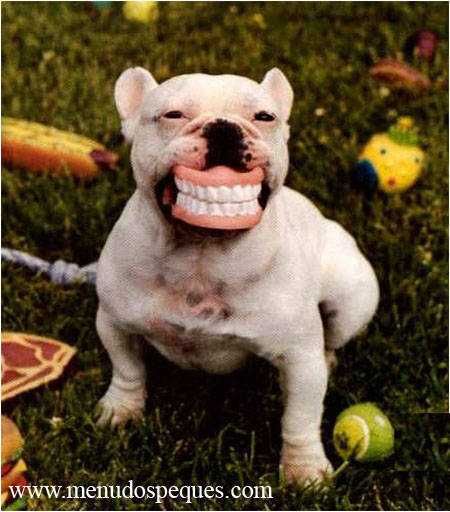 sonrie