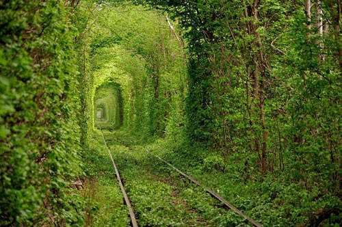 tunel-amor
