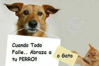 cuando-falle
