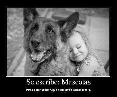 mascota-no-abandonan