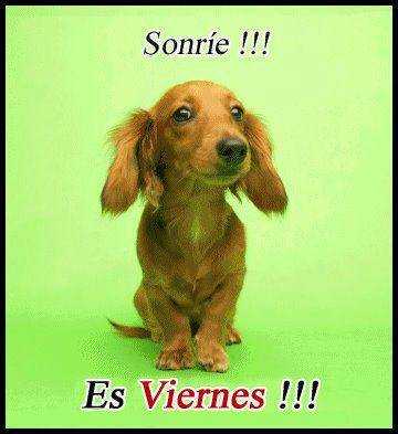 perro-viernes