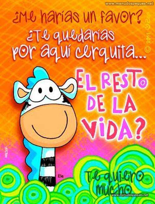 resto vida