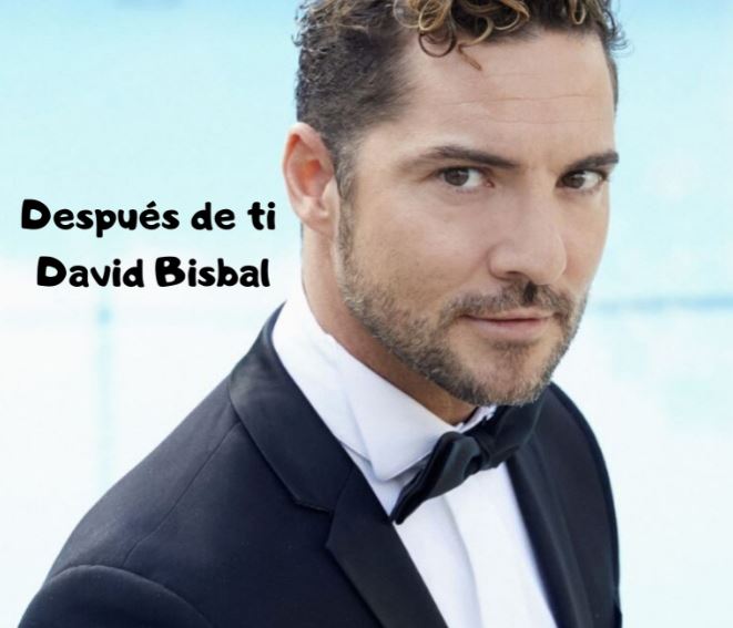 Después De Ti - David Bisbal