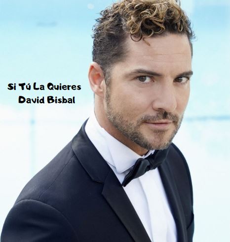 Letra de Si tú la quieres, David Bisbal - 