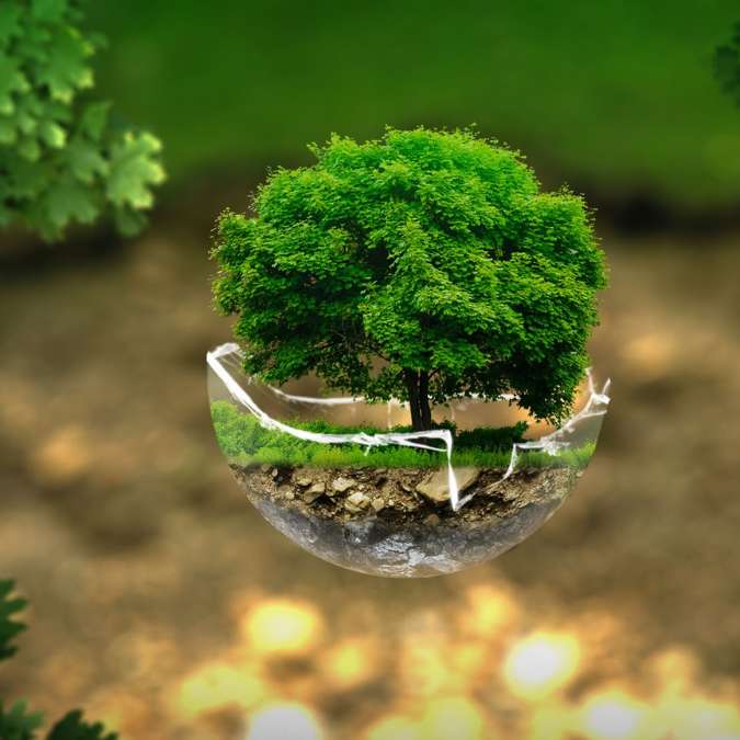 Beneficios de la educación medioambiental en la infancia