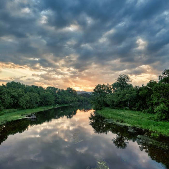 Bosque con nubes y río, actividades para niños, día de los bosques