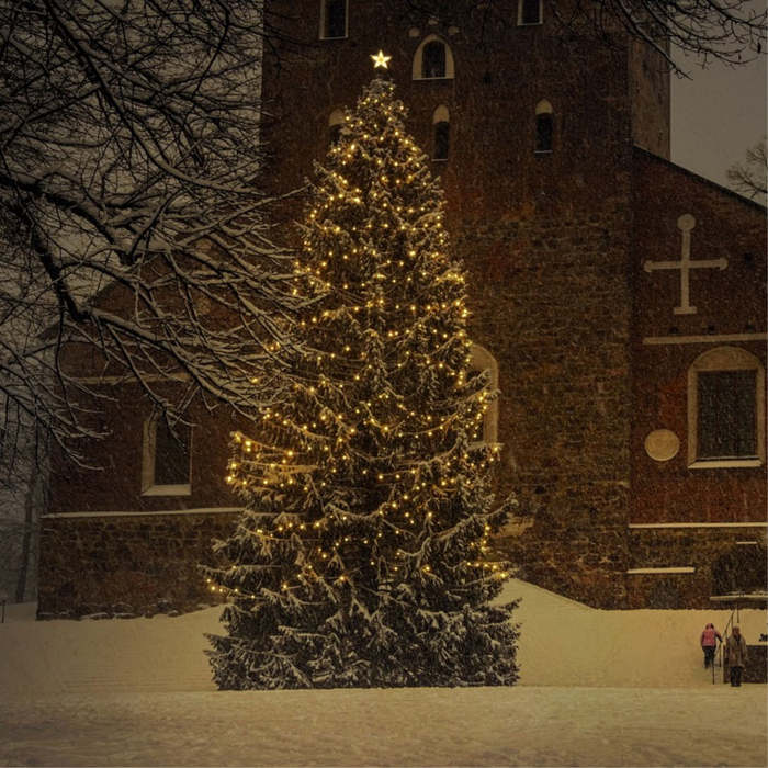 Adornos del árbol de Navidad: ¿Qué representan las luces, bolas y estrellas?