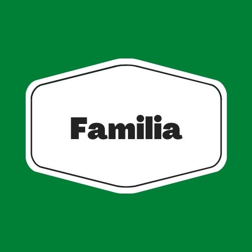 Adivinanzas familia