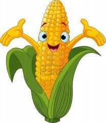 Vamos a sembrar maíz