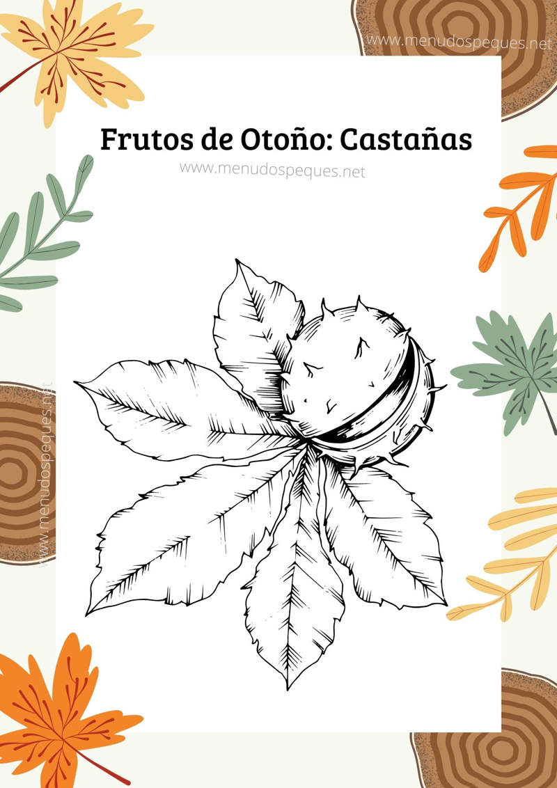 Dibujos castañas, colorear castaña, otoño, frutos secos