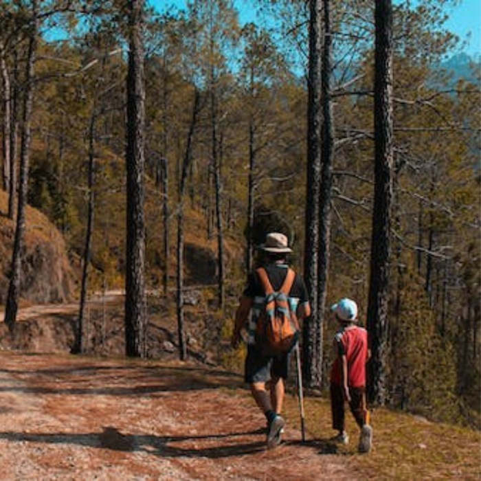 El Avión de Madera: Un Fuerte Vínculo entre Padre e Hijo - Cuentos para niños, día del padre